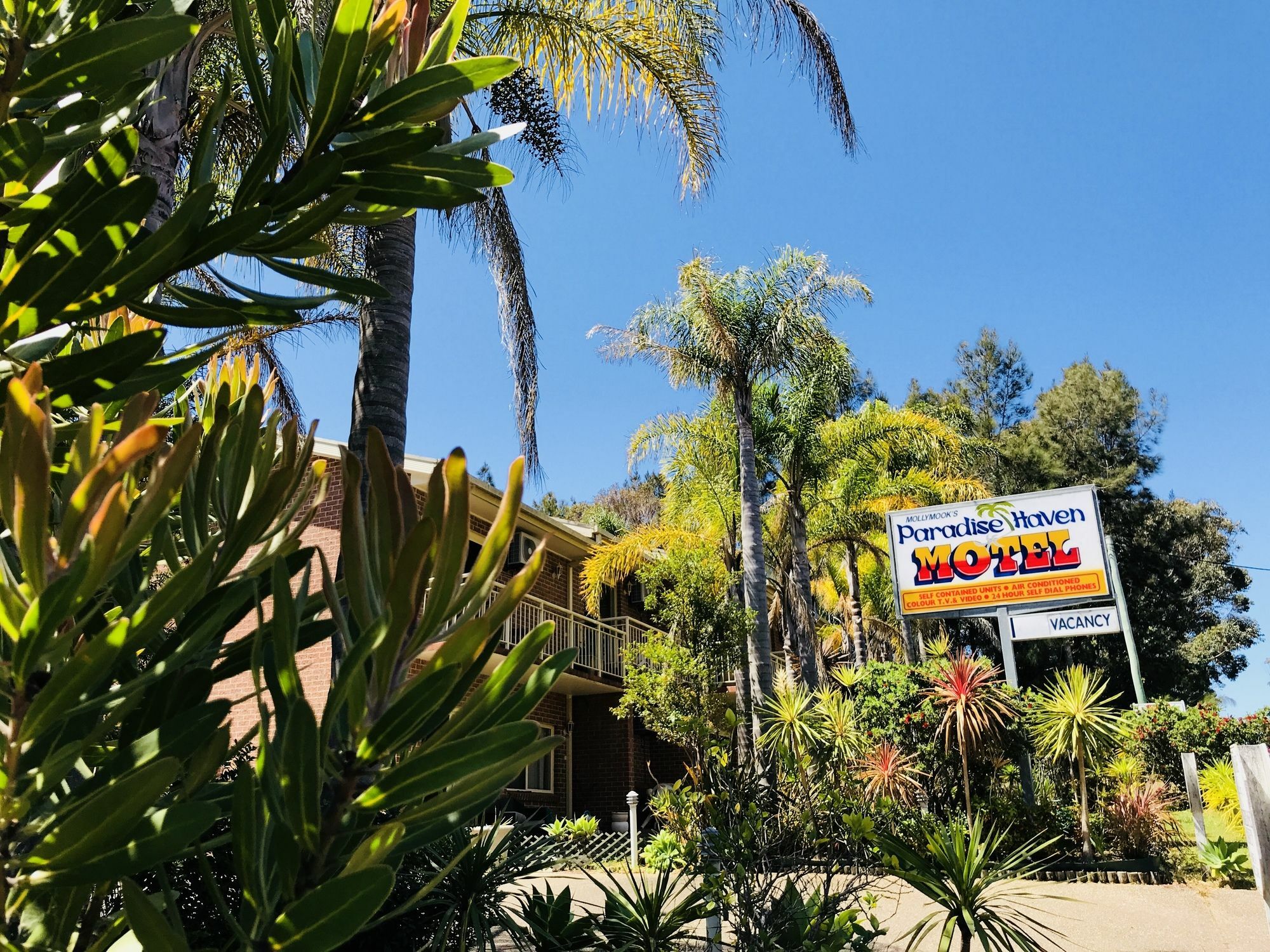 Mollymook Paradise Haven Motel Ngoại thất bức ảnh